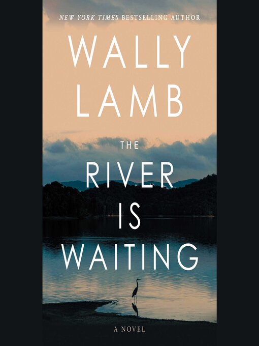 Title details for The River Is Waiting by Wally Lamb - Wait list